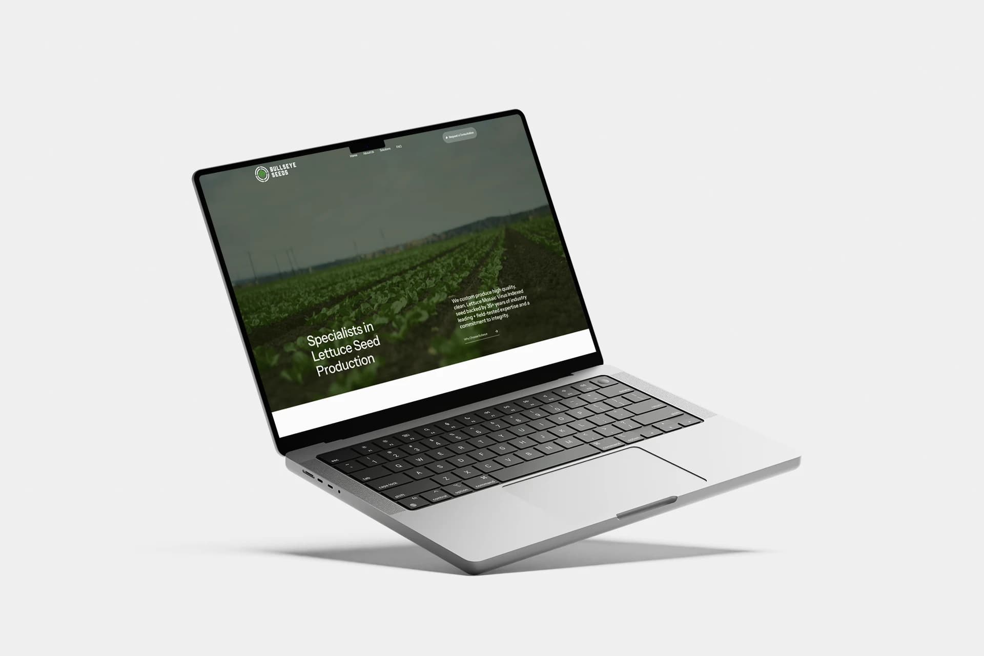 Bullseye Seeds — full view