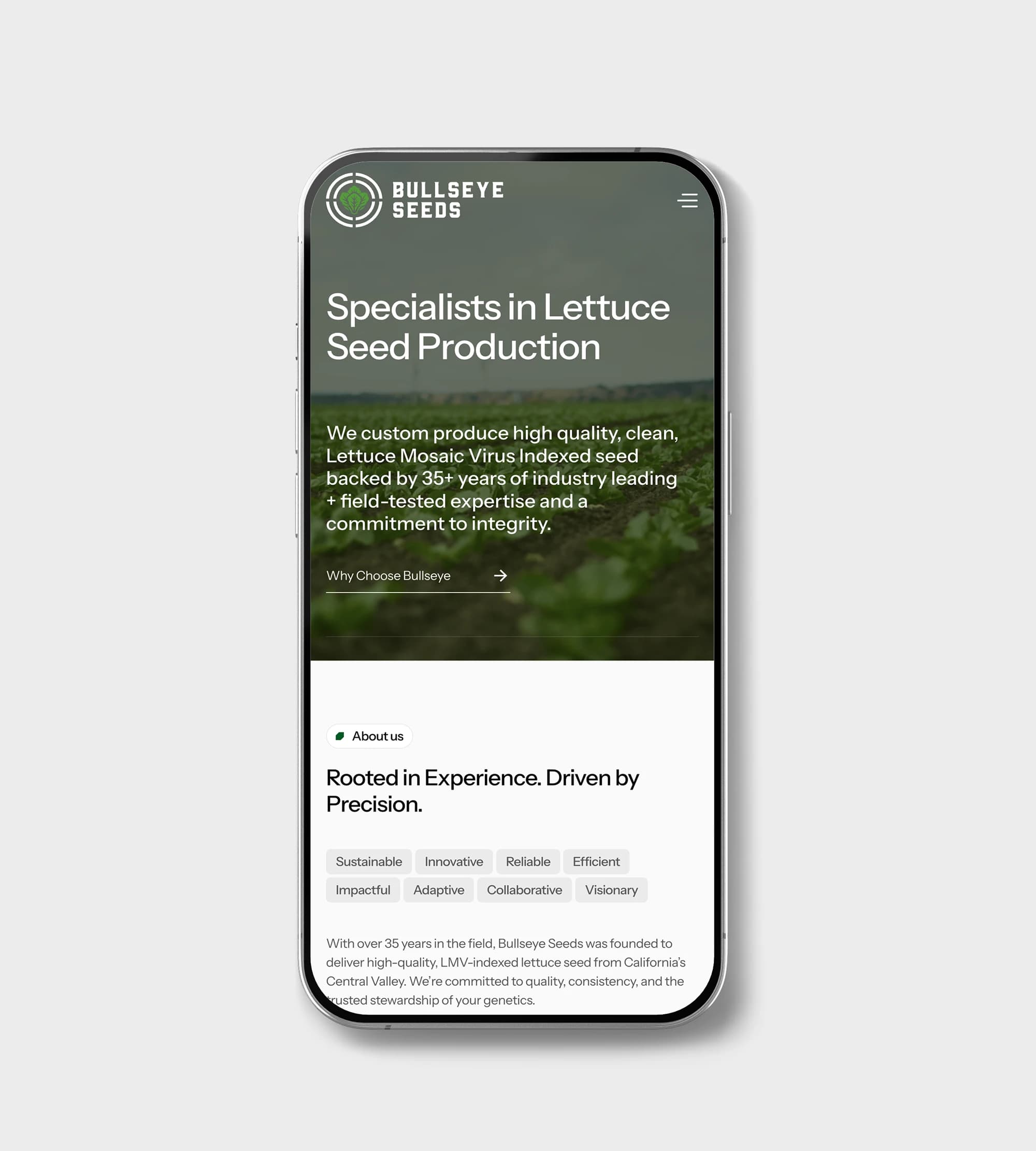 Bullseye Seeds detail 3